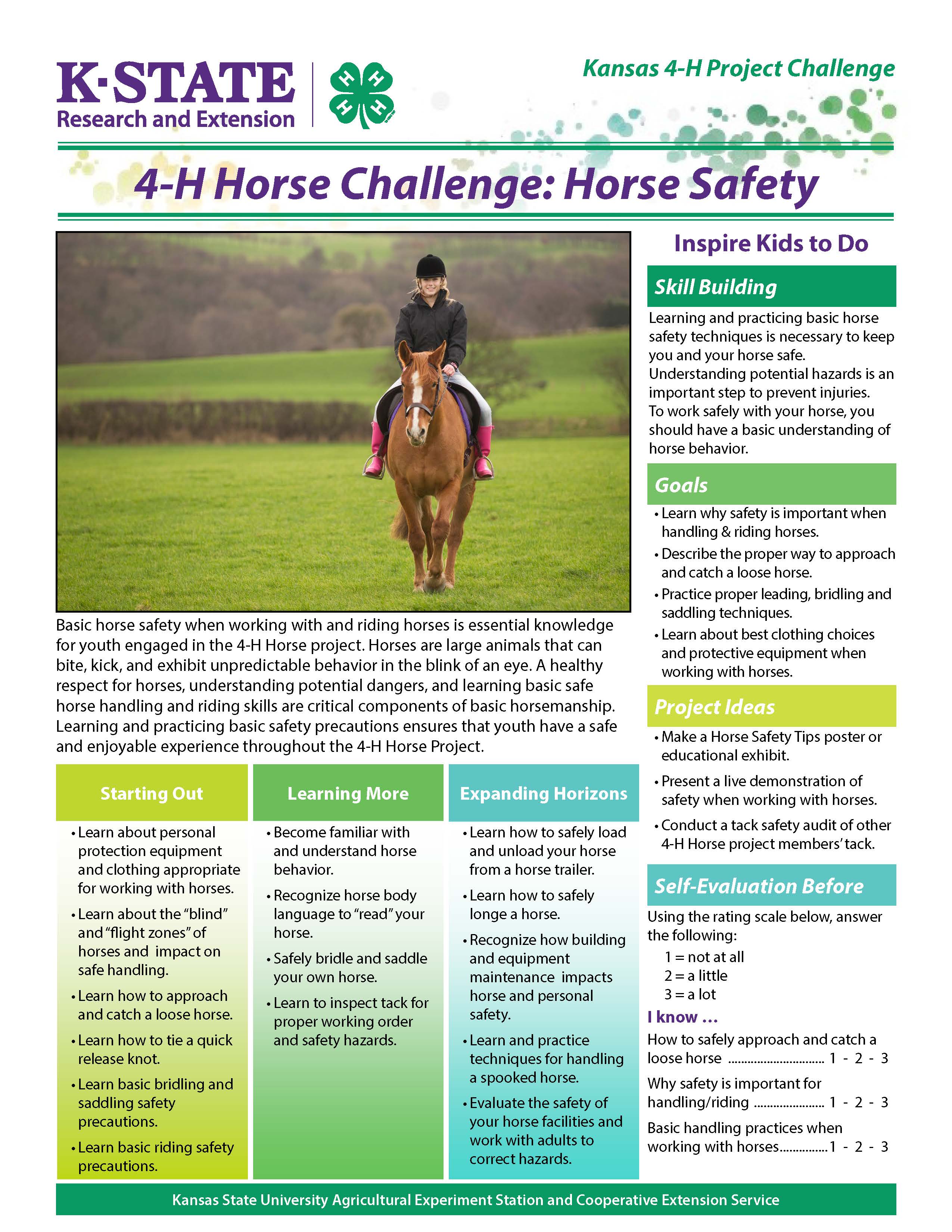 Horse | Animals | Projects | Kansas 4-H Youth Development